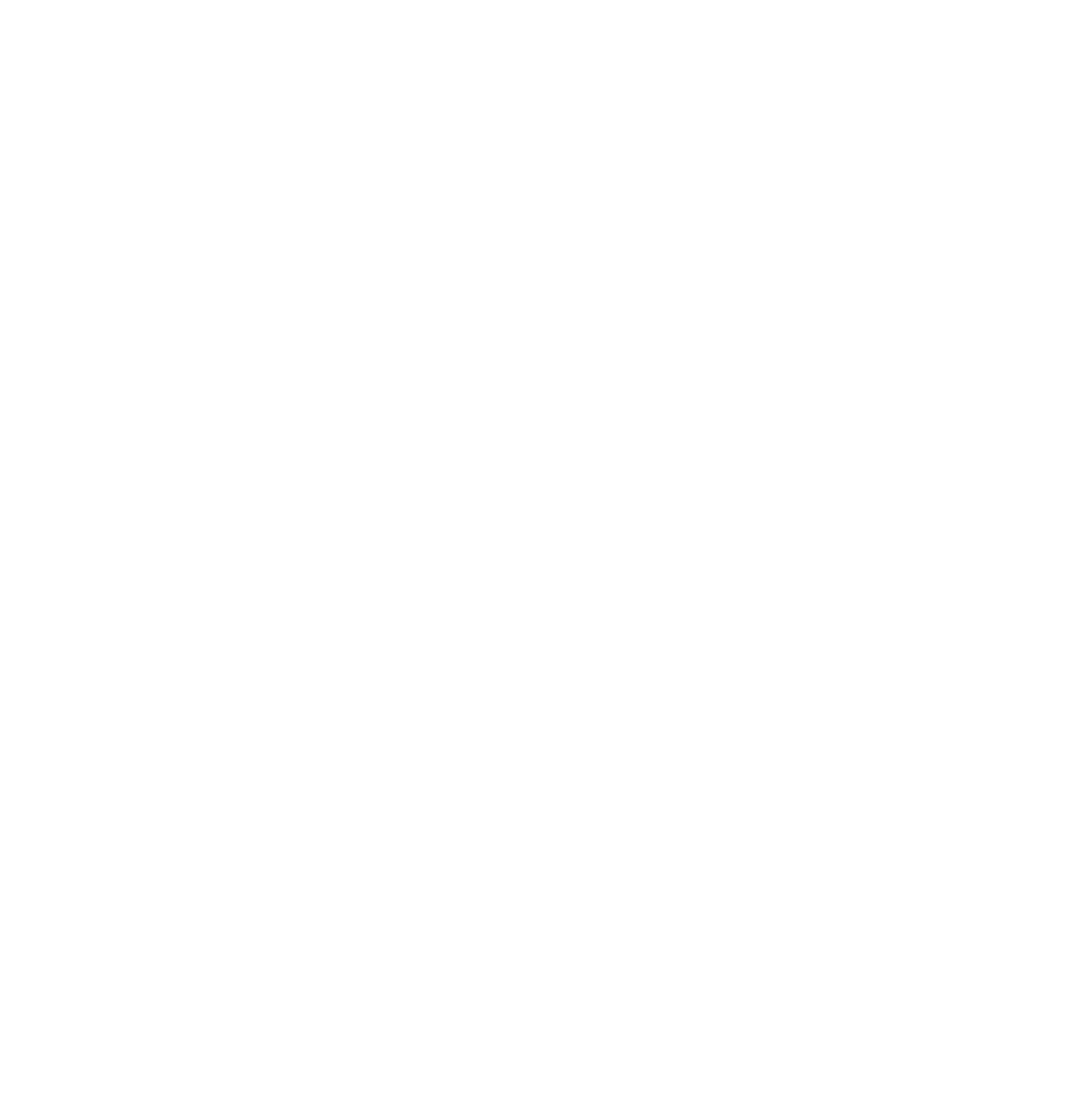Logo FSB Freie Sekundarschule Bernburg